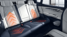 极氪老车主福利来了,竟然免费送3个月方向盘加热(图2) 游民星空